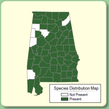 Species Distribution Map