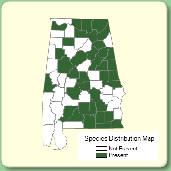 Species Distribution Map