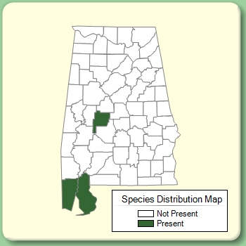 Species Distribution Map