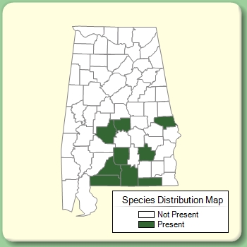 Species Distribution Map