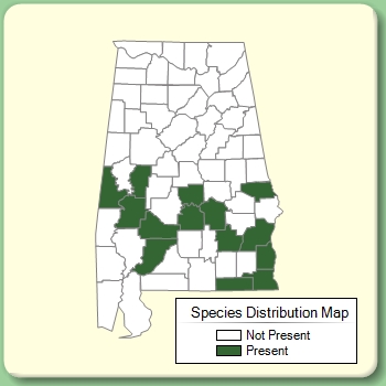 Species Distribution Map