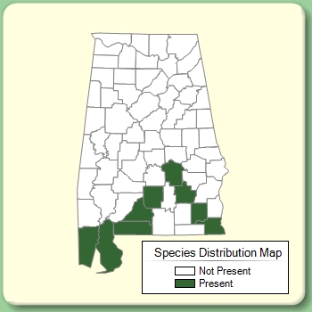 Species Distribution Map