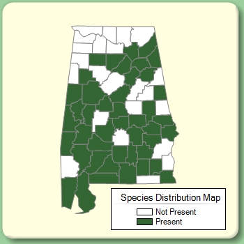 Species Distribution Map