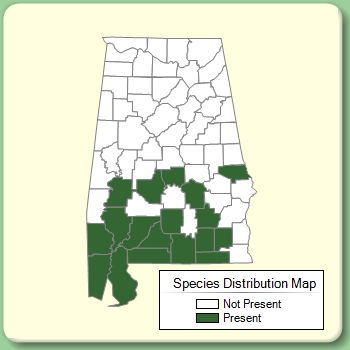 Species Distribution Map