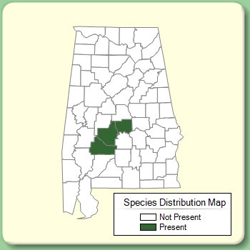 Species Distribution Map