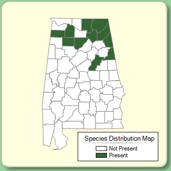 Species Distribution Map