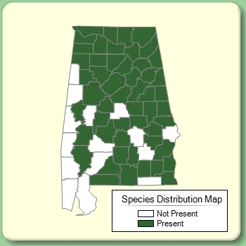 Species Distribution Map