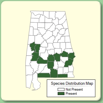 Species Distribution Map