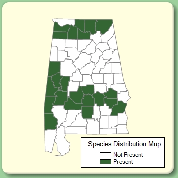 Species Distribution Map