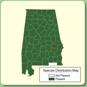 Species Distribution Map