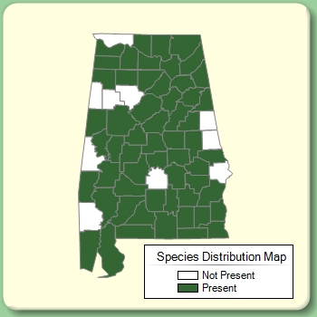 Species Distribution Map