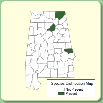 Species Distribution Map