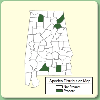 Species Distribution Map