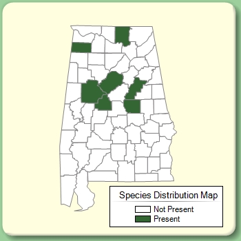 Species Distribution Map