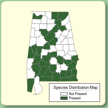 Species Distribution Map