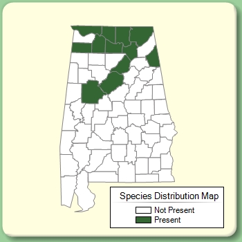 Species Distribution Map