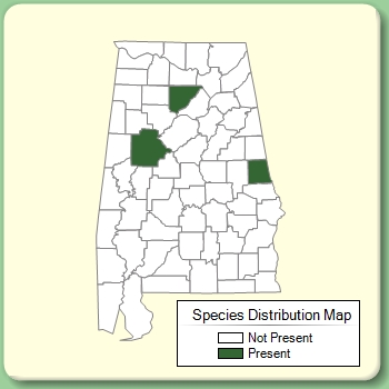 Species Distribution Map