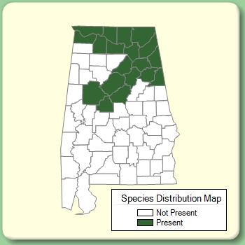 Species Distribution Map