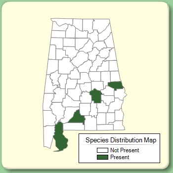 Species Distribution Map