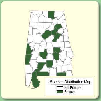 Species Distribution Map