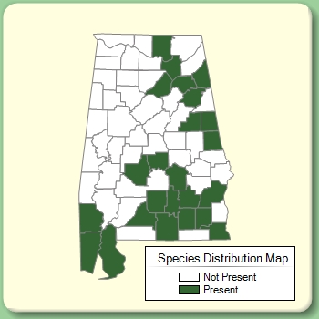 Species Distribution Map