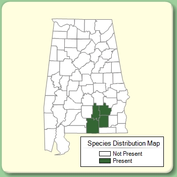 Species Distribution Map