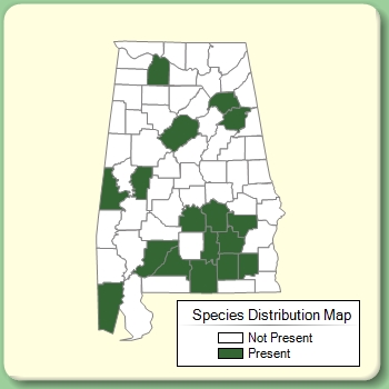 Species Distribution Map