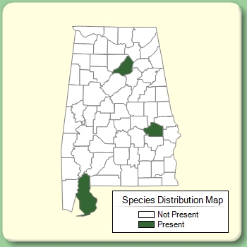 Species Distribution Map