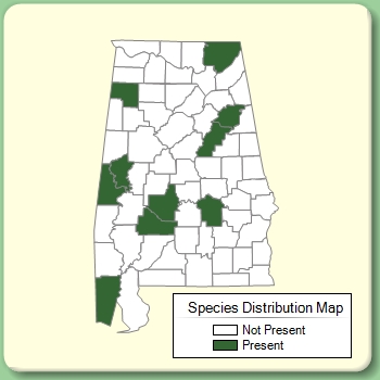 Species Distribution Map