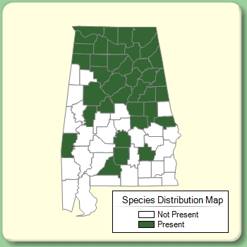 Species Distribution Map