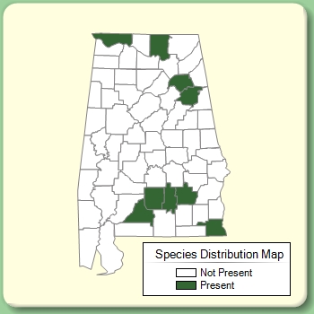 Species Distribution Map