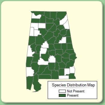 Species Distribution Map