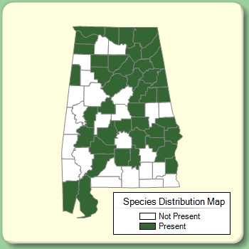 Species Distribution Map