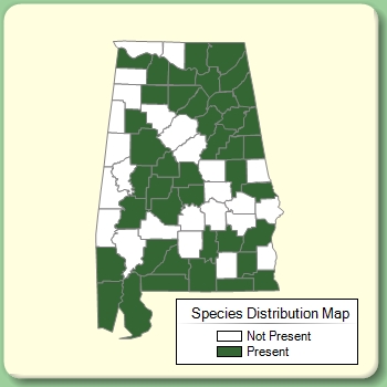 Species Distribution Map