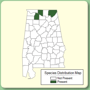 Species Distribution Map