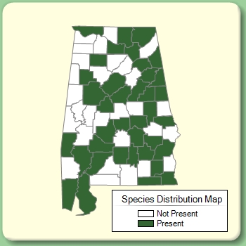 Species Distribution Map