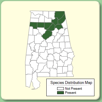 Species Distribution Map