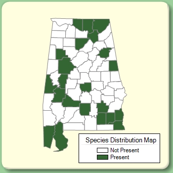 Species Distribution Map