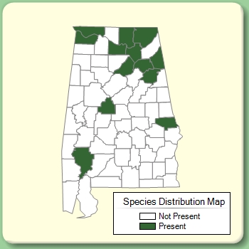 Species Distribution Map