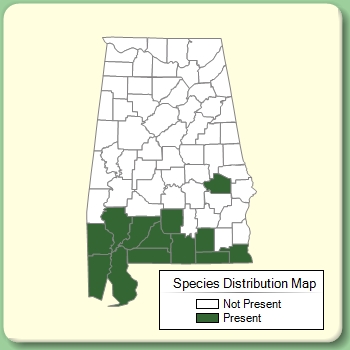 Species Distribution Map