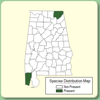 Species Distribution Map