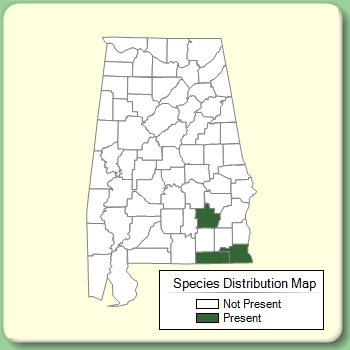 Species Distribution Map