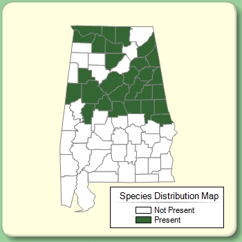 Species Distribution Map