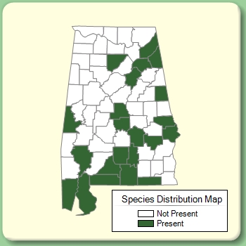 Species Distribution Map