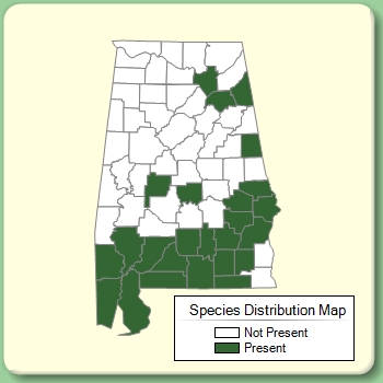 Species Distribution Map