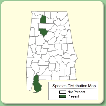 Species Distribution Map