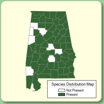 Species Distribution Map