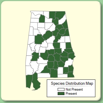 Species Distribution Map