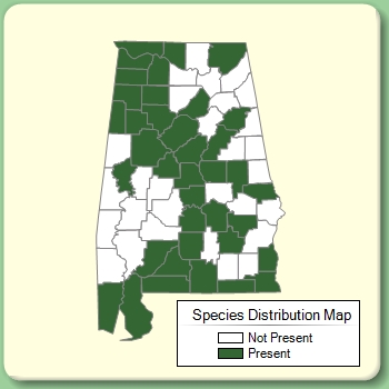 Species Distribution Map