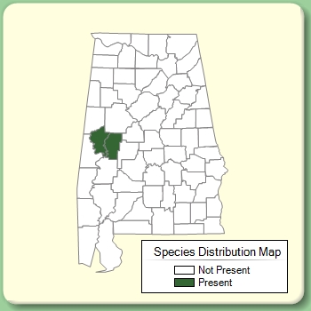 Species Distribution Map